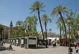 Exposición "Sevilla. Una visión panorámica. Fotografías de Roisin". Sevilla. Julio de 2007