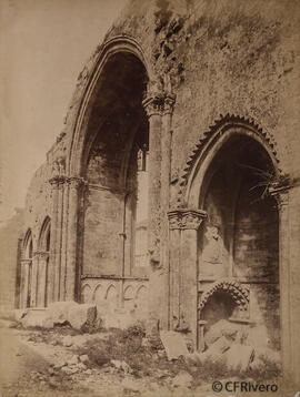Pontevedra, ruinas del Convento de Santo Domingo. Valentín Medía.