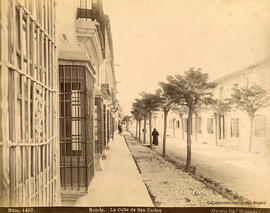 Ronda (Málaga), calle San Carlos, con arboleda y ventanas enrejadas. R. Garzón.