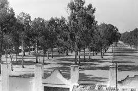 Parcela aborlada de Martiricos desde el estadio de fútbol La Rosaleda. Málaga. Junio de 1960.  Málaga, España