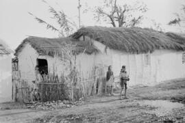 Viviendas. Noviembre de 1954. Málaga, España