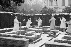 Málaga nevada. Jardines de Pedro Luis Alonso. Febrero de 1954. España. 03