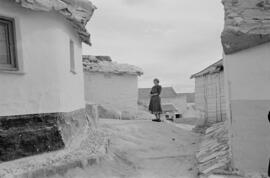 Viviendas. Haza de Varela. Diciembre de 1954. Málaga. España.