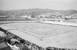 Alumnos haciendo deporte en la Escuela de Formación Profesional Francisco Franco. Abril de 1959. ...