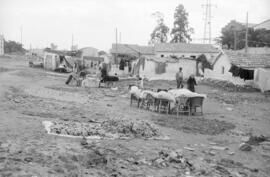 Viviendas. Arroyo del Cuarto. 1955-11, noviembre. Inundaciones del 29 de octubre de 1955. Málaga,...