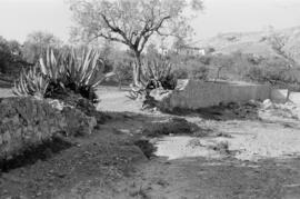 Barrio de El Palo. Noviembre de 1959. Málaga, España