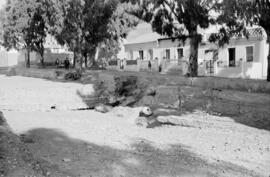 Barrio de El Palo. Noviembre de 1959. Málaga, España