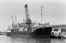 Puerto de Málaga. 1959, julio. España.