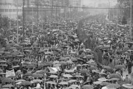 Manifestación por la autonomía de Andalucía. 1977-12-04. Málaga, España. 1.9. Manifestación.