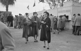 Baños del Carmen. Fiestas de invierno. Concurso hípico. Febrero de 1954. Málaga (España). 14