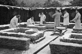 Málaga nevada. Jardines de Pedro Luis Alonso. Febrero de 1954. España. 02