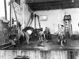 Bodegas López Hermanos. Sala de Molturación. Hacia 1930. Málaga, España. 02