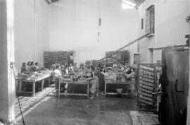 Fábrica de conservas Santa Rosa, de Diego Martín Caballero, barrio de El Perchel. Mayo de 1955. Málaga, España.