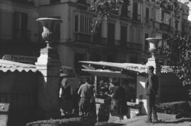 Plaza de la Merced. 1966, octubre. Málaga, España.