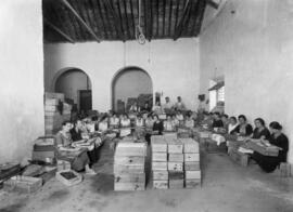 Bodegas López Hermanos. Envasado de la pasa. Hacia 1930. Málaga, España. 02