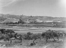 La Mayora, Centro Experimental Económico Agrario del CSIC. Mayo de 1968. Algarrobo, Málaga, Españ...