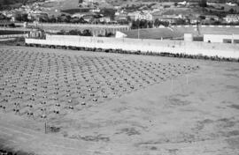 Alumnos haciendo deporte en la Escuela de Formación Profesional Francisco Franco. Abril de 1959. Málaga, España