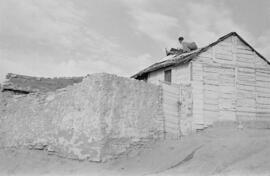 Viviendas. Diciembre de 1954. Málaga. España