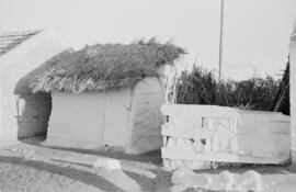 Viviendas. Noviembre de 1954. Málaga, España.