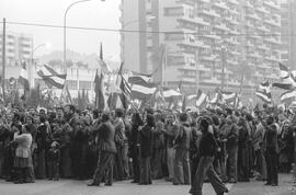 Manifestación por la autonomía de Andalucía. 1977-12-04. Málaga, España. 2.3. Manifestación.