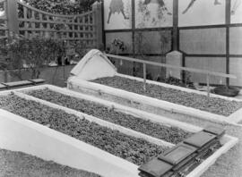 Parque. Exposición de Productos Agrícolas de 1924. Paseros.  Málaga. España.