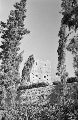 Jardines de Puerta Oscura. Enero de 1954. Málaga. España.