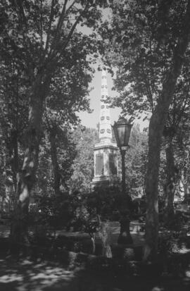 Plaza de la Merced. 1966, octubre. Málaga, España.