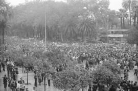 Manifestación por la autonomía de Andalucía. 1977-12-04. Málaga, España. 1.2. Manifestación.