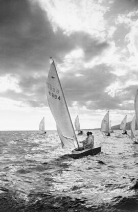 Fiestas de invierno. Regata de vela. Enero de 1959. Málaga, España