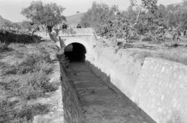 Barrio de El Palo. Noviembre de 1959. Málaga, España