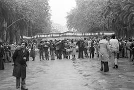 Manifestación por la autonomía de Andalucía. 1977-12-04. Málaga, España. 1.3. Manifestación.