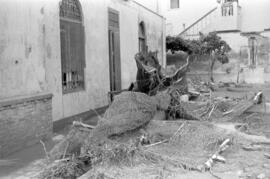 Destrozos en Villa Consuelo, de José Gómez Mercado, por las inundaciones del 29 de octubre de 1955.  Málaga. España.