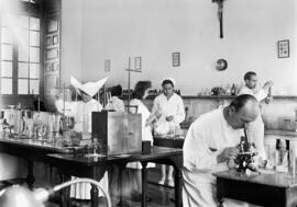 Hospital Civil. Laboratorio de análisis clínicos. Málaga, España.