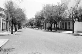 Alameda de Capuchinos. Abril de 1959. Málaga, España