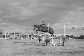 Baños del Carmen. Fiestas de invierno. Concurso hípico. Febrero de 1954. Málaga (España). 08