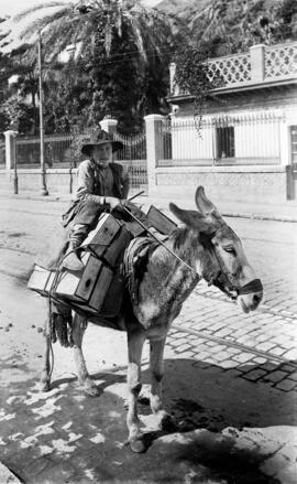 Arriero en el Paseo de Sancha. Málaga. España-01