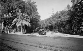 Parque de Málaga, España.