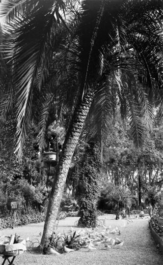 Open original Objeto digital