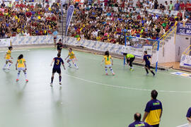 Partido Brasil contra España. 14º Campeonato del Mundo Universitario de Fútbol Sala 2014 (FUTSAL). Antequera. Julio de 2014