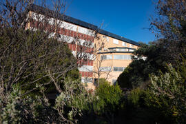 Exteriores de la Facultad de Ciencias de la Universidad de Málaga. Campus de Teatinos. Febrero de 2021