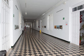 Exposición "Málaga 2013: Un año de fotoperiodismo" en La Térmica. Mayo de 2014