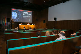 Alicia Carrasco presenta la conferencia "Un enfoque sociológico de la Inteligencia artificial. Impacto en el mercado laboral.  Nuevas profesiones". Curso "La buena Inteligencia Artificial". Cursos de Verano de la Universidad de Málaga. Ronda. Julio de 2018
