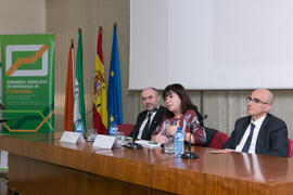 Conferencia de Cristina Narbona. XI Jornadas Andaluzas de Enseñanza de Economía. Facultad de Ciencias Económicas y Empresariales. Febrero de 2018