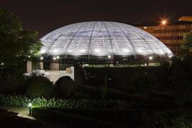 Jardín Botánico de la Universidad de Málaga. Campus de Teatinos. Junio de 2009