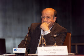 Agustín Meléndez. Panel de Expertos. 3º Congreso Internacional de Actividad Físico-Deportiva para Mayores de la Universidad de Málaga. Palacio de Ferias y Congresos de Málaga. Marzo de 2009