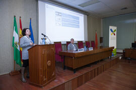 Intervención de Josefina Santolaya. VII Workshop Sección Estrategia Empresarial de Acede. Facultad de Ciencias Económicas y Empresariales. Málaga. Febrero de 2015