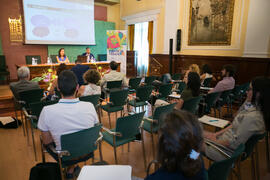 Taller Práctico: "Incorporación de cláusulas sociales y ambientales a pliegos". Curso "La nueva contratación pública". Cursos de Verano de la Universidad de Málaga. Málaga. Julio de 2018