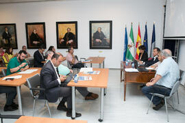 Taller «La innovación y la cultura como motores económicos». Curso "Andalucía ante la era de la tecnología global". Cursos de Verano de la Universidad de Málaga. Málaga. Julio de 2019