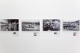 Exposición "Málaga 1963. Una mirada fotográfica a la ciudad de hace 50 años" en La Térmica. Febrero de 2014