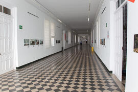 Exposición "Málaga 2013: Un año de fotoperiodismo" en La Térmica. Mayo de 2014